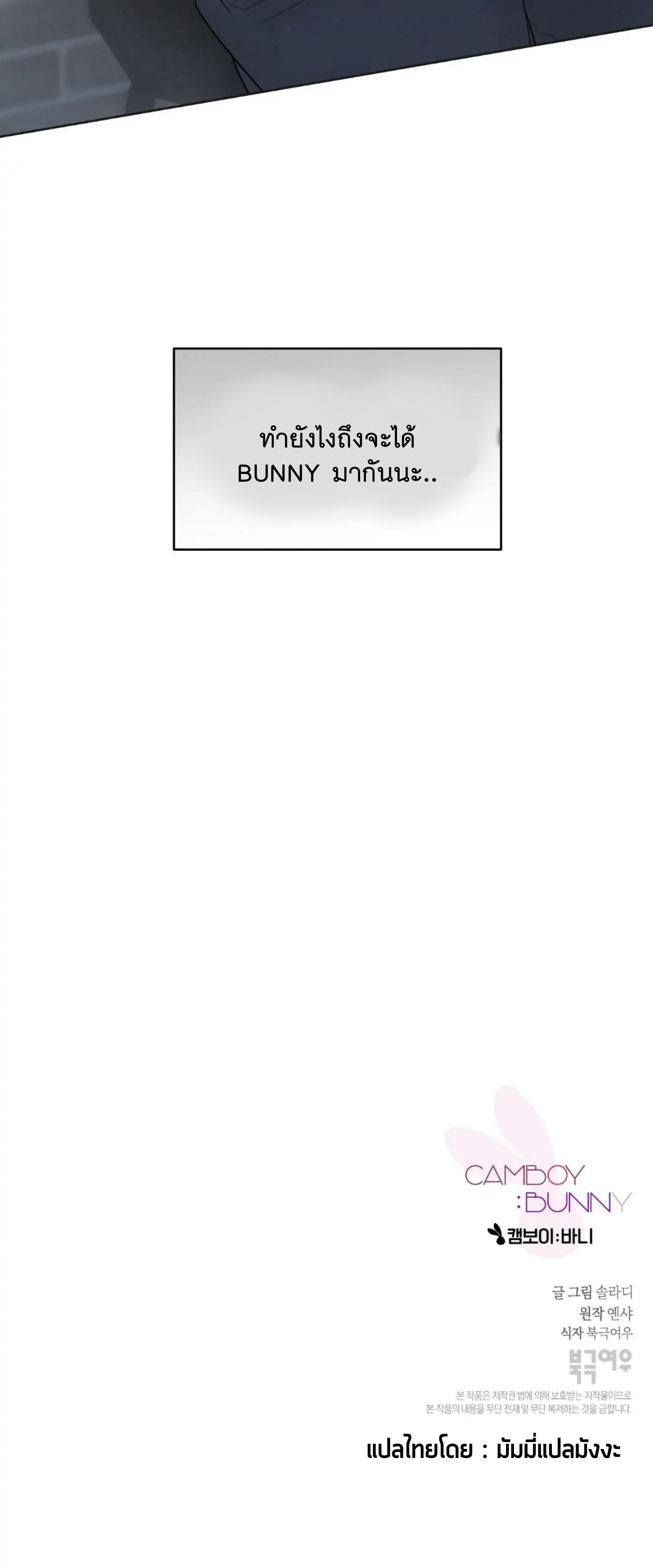Camboy Bunny 2 (28)