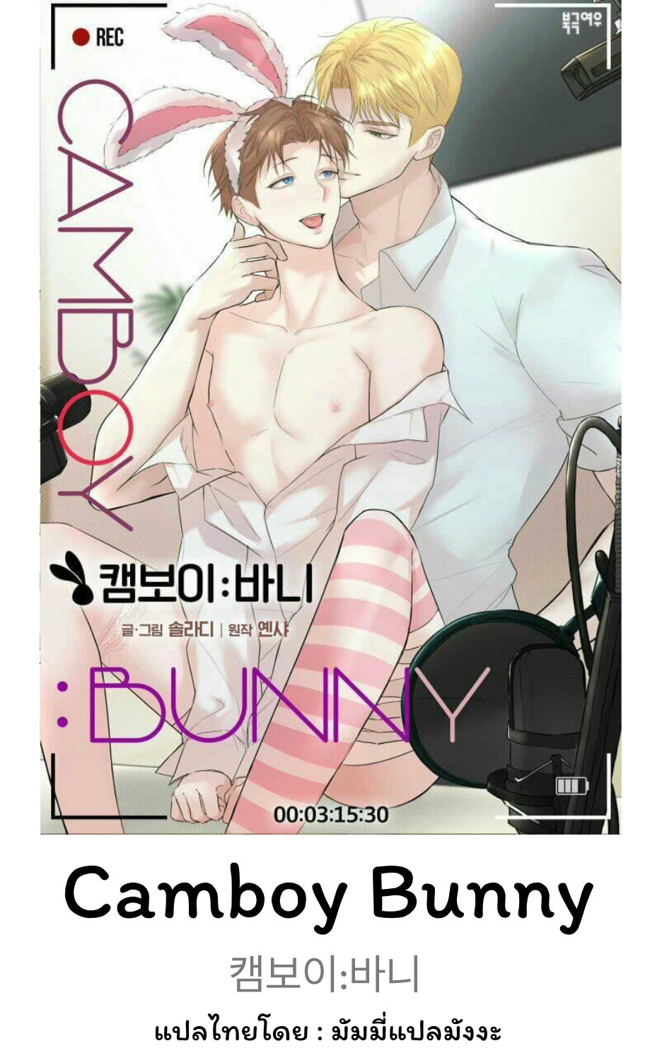 Camboy Bunny 4 (1)
