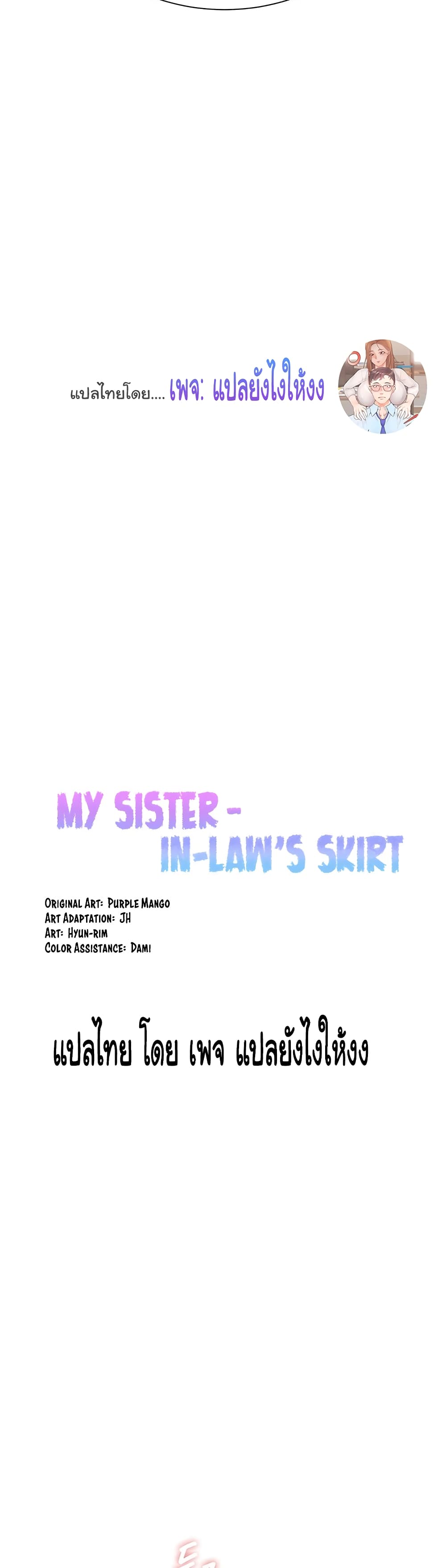 Sister in Law’s Skirt 4 (6)